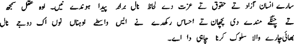 Sample text in Punjabi (Arabic alphabet)