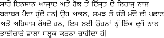 Sample text in Punjabi (Gurmukhi alphabet)